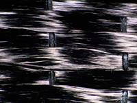 unidirectional reinforcing carbon mat